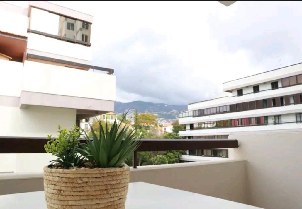 Vista Infante Apartments Funchal  Exteriör bild
